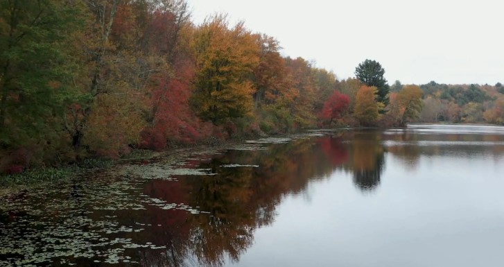 370+ Land Sale / Bethel, NY - Sullivan County